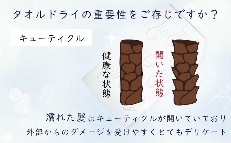 キューティクルを傷つけてしまうことが、髪が傷む原因です